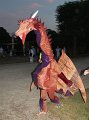 Kleines Fest 2010 I   185